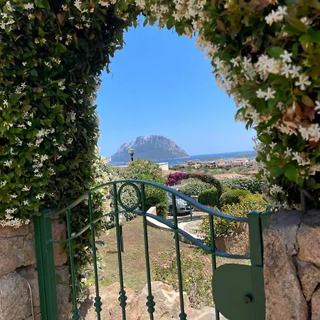 Vista Incredibile Su Tavolara *